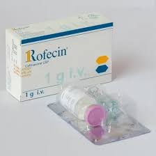 rofecin-1-gm